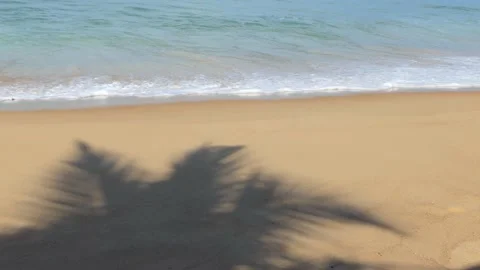 Shadows of coconut trees on the beach Vídeo Stock 163493546
