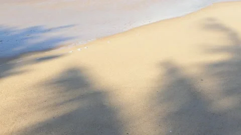 Shadows of coconut trees on a sandy beach in Phuket, Thailand. Vídeo Stock 163259268