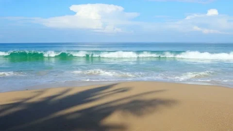 Shadows of coconut trees on a sandy beach in Phuket, Thailand. Видео 163259269