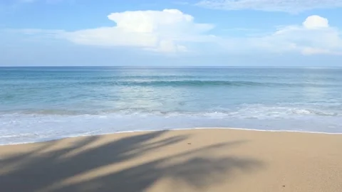 Shadows of coconut trees on a sandy beach in Phuket, Thailand. Vídeo Stock 163493175