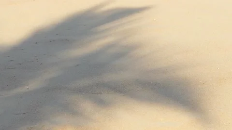 Shadows of coconut trees on a sandy beach in Phuket, Thailand. 库存影片 163493454