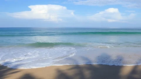Shadows of coconut trees on a sandy beach in Phuket, Thailand. Vídeo Stock 163494104