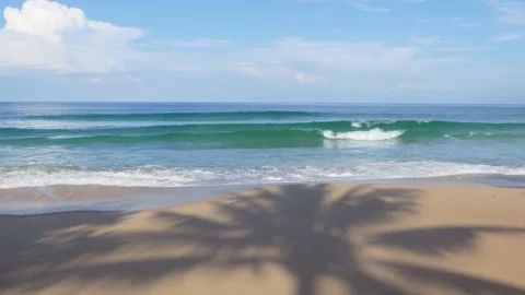 Shadows of coconut trees on a sandy beach in Phuket, Thailand. Vídeo Stock 163494204