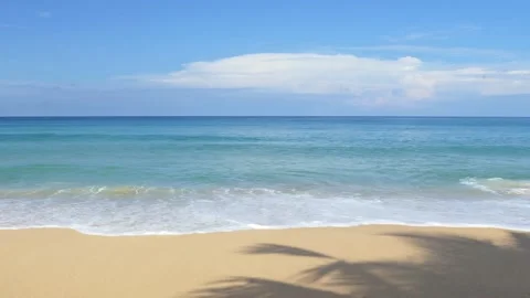 Shadows of coconut trees on a sandy beach in Phuket, Thailand. Vídeo Stock 163494284