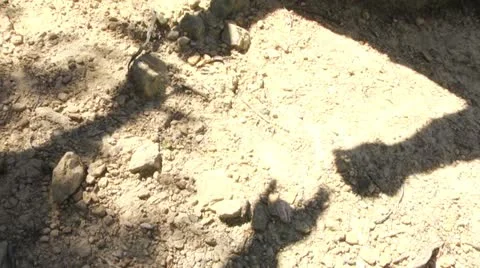 Shadows come together 스톡 동영상 20497968