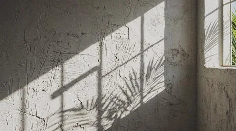 Shadows on a concrete wall. Fotos Stock