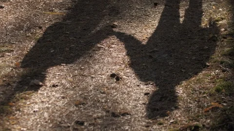 Shadows of a couple holding hands while walking along a forest path during Stock Footage 298014780