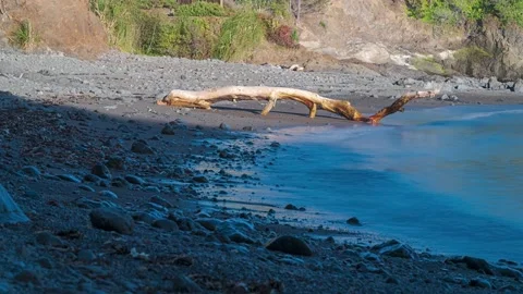 Shadows creep over a log on a beach during sunset - timelapse Vídeos de archivo 220018040