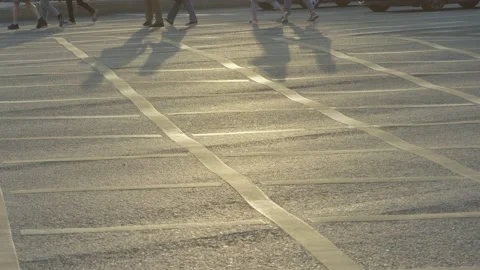 Shadows on the crosswalk in slow motion. Pedestrians in the city. Small dog. Stock Footage