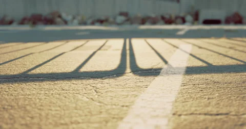 Shadows dance on cracked pavement during golden hour in urban setting Stock Footage 317049196