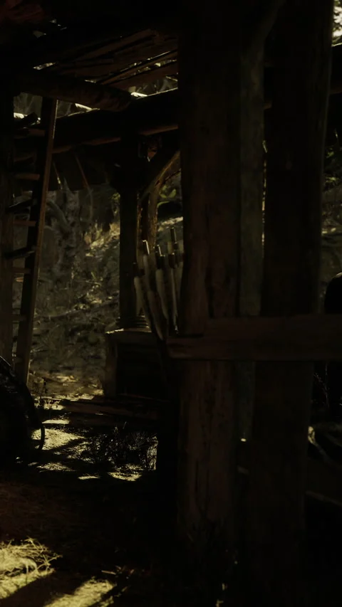 Shadows dance in a rustic cabin as sunlight filters through the trees Stock Footage 341419491