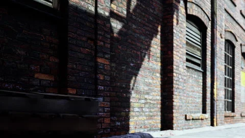 Shadows Dance on a Textured Brick Wall in an Urban Setting During the Day Stock Footage 344907362