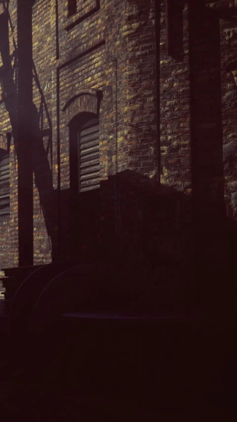 Shadows dance on vintage brick walls during quiet afternoon light Stock Footage 334254253