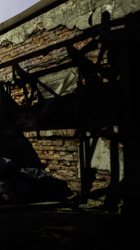 Shadows dance on the weathered brick wall in an urban alleyway at dusk Stock Footage 335234350