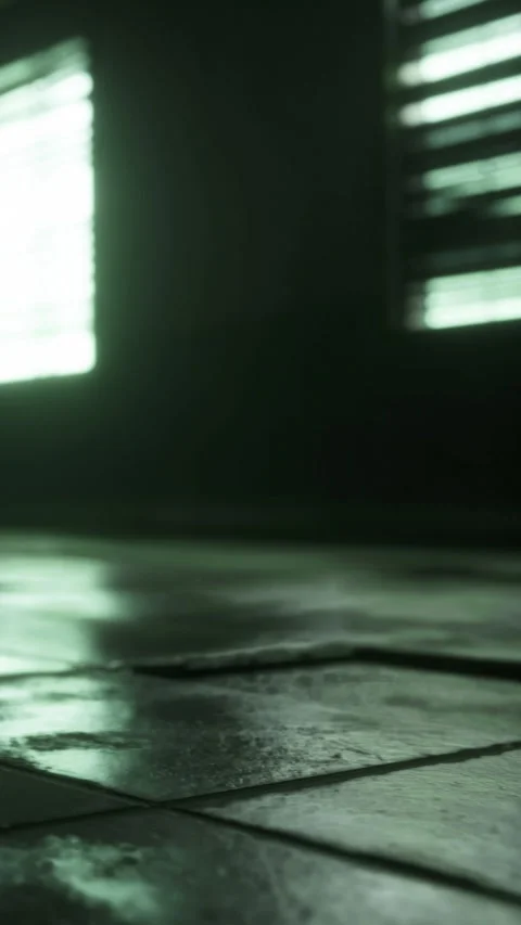 Shadows dance on the wet floor amidst glowing light from the windows Stock Footage 330337621