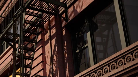 Shadows Dancing on a Brick Wall During a Sunny Afternoon Stock Footage 344950522
