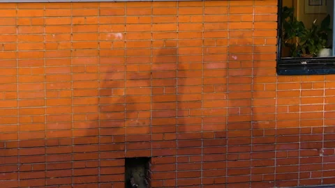 Shadows dancing on the wall Stock Footage 96384255