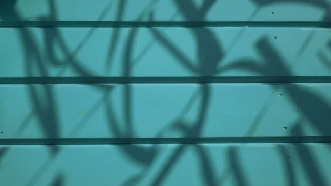 Shadows of decorative ribbons Stock Footage 88585509