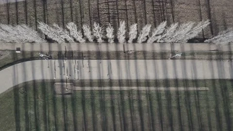 Shadows doing sports 03 Stock Footage 220787453