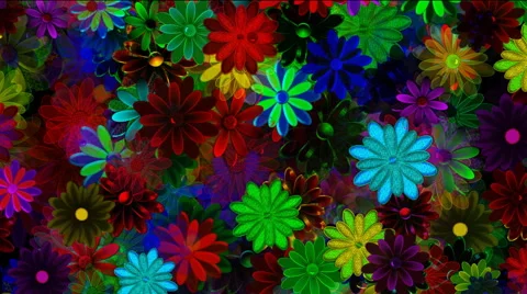 Shadows Flowers Motion Background Stock-Footage 49053221