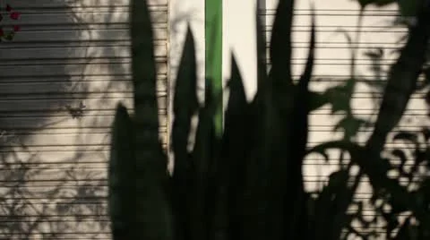 Shadows. Stockbeeldmateriaal 15146729