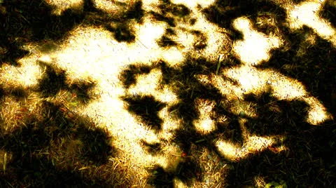 Shadows Video stock 25682709