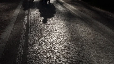 Shadows Video stock 88286111