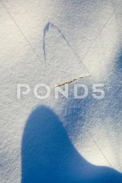 Shadows on fresh snow Stock Photos