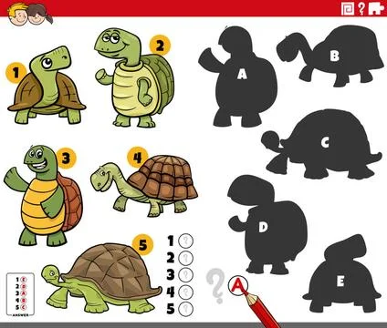 Shadows game with comic turtles animal characters Cartoon illustration of ... Stock Photos