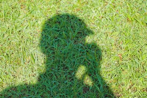 Shadows in the Grass. Stock Photos