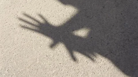 The shadows on the ground Stock Photos