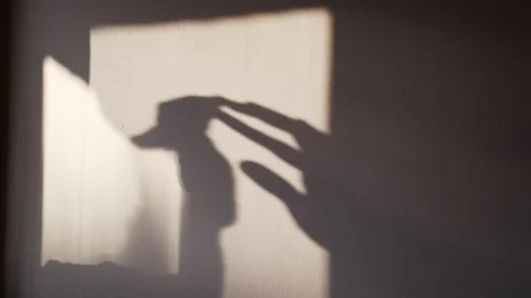 Shadows of hands on the wall. Games with light and shadow. Abstract shadows Stockbeeldmateriaal 132410562