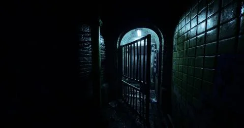 Shadows illuminate an old corridor with an open gate at night Stock Illustration