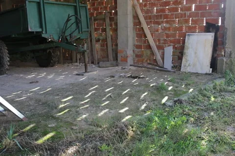 Shadows inside a barn Stock-Footage 347482963