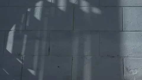 Shadows lattice Gate, on the wall. Stock Footage 135960178