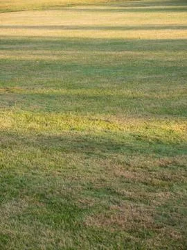 Shadows Lawn Stock Photos