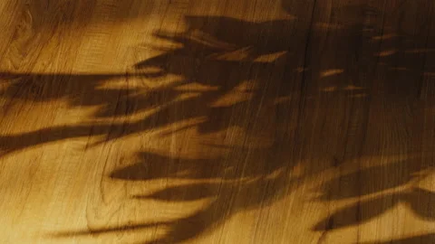 Shadows leaf with blowing wind overlay on wood floor background Stock Footage 151243360