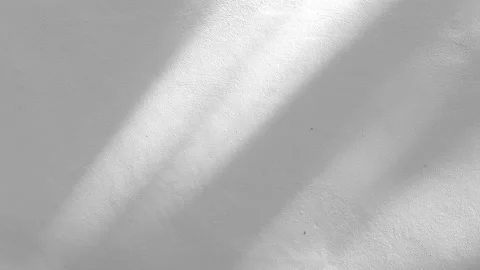 Shadows leaf with blowing wind on a white wall background Stock Footage 134746705