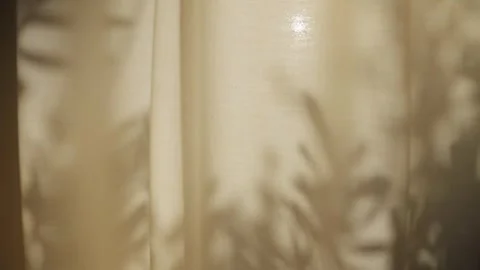 Shadows of leaves and branches on window curtain inside house or apartment 動画素材 322780823