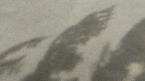 Shadows from leaves blowing in the wind on the road 스톡 동영상 293271842