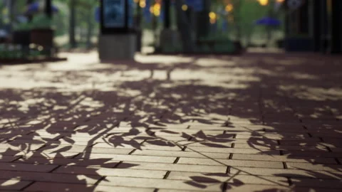 Shadows of leaves cast on a brick path during the afternoon light Stock Footage 340982225