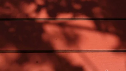 Shadows from leaves dance on red picnic table Stock Footage 77280139