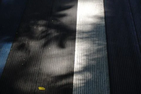Shadows of leaves fall across a textured wooden deck divided by a bright sunbeam Stock Photos