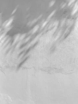 Shadows from leaves falling on textured wall 스톡 사진