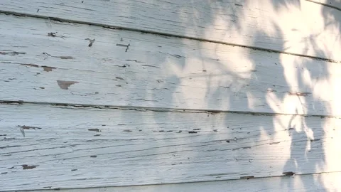 Shadows of leaves move against old and worn barn,red paint, 4K Stock Footage 158515165