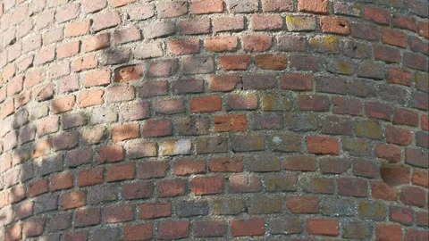 Shadows of leaves on a stone wall. Stock Footage 78530351