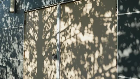 Shadows of leaves on a wall creating a natural pattern Stock Footage 276341782