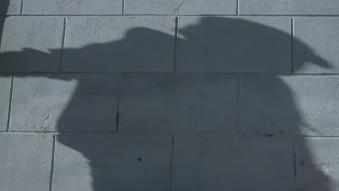 Shadows of a man closing the gate. Video stock 135960196
