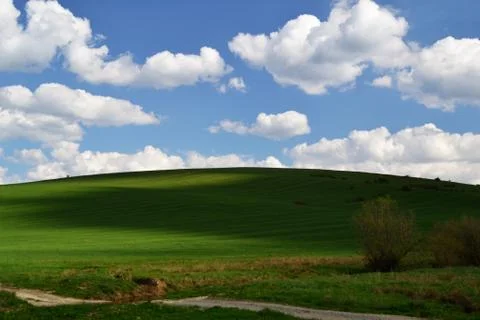 Shadows on the meadow Stock Photos