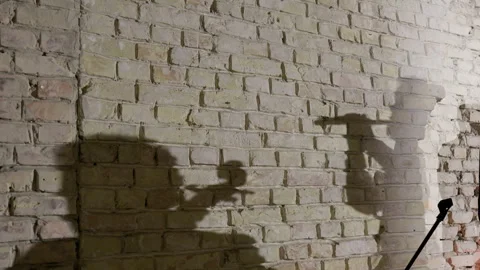Shadows of men playing cello and flute. Stock Footage 273809828